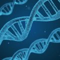 featured image La Investigación del ADN Detecta Falencias en Teoría de Darwin