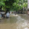 featured image India Floods Kill 537 People