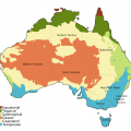 featured image Australian Heat Wave Sets Records, Mass Animal Deaths