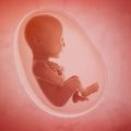 featured image La Cruel y Repulsiva Nueva Ley del Aborto de Nueva York