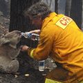 featured image Incendios Forestales en Australia se Intensifican