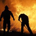 featured image Evacuaciones Masivas por Incendios Forestales en Australia