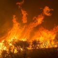 featured image Brush Fire North of Phoenix Forces Evacuation of 250