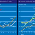 featured image KTF News Video – Social Unrest Fears Mount As World Food Prices Soar In April