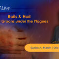 featured image KTFLive: Boils & Hail – Egypt Groans under the Plagues