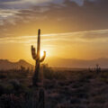 featured image Phoenix weathers 100 days of 100-plus degree temps as heat scorches western US