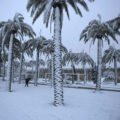 featured image At least 10 dead as record-breaking snowstorm sweeps across the South