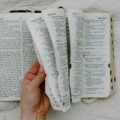 featured image More Americans are now reading the Bible but fewer believe it’s 100% accurate: study