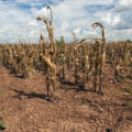 featured image Megadrought: We Just Experienced The Driest First Three Months Of A Year In US History