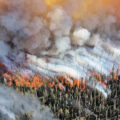 featured image Southeast wildfires have now scorched 170,000 acres as 62% of the US sits in drought