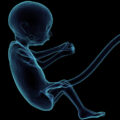 featured image Scientists Concerned Latest Gene Editing of Human Embryos Could “Open the Floodgates”