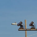 featured image More Like Stalking Than Security: The Quiet Threat of License Plate Cameras