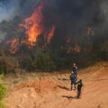 featured image Rain aids fight against Belgium’s biggest wildfire, as blazes rip through Europe